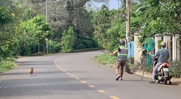 Chỉ trong 1 buổi sáng, tổ bắt chó thả rông của 1 xã ở TP HCM tóm tổng cộng 7 con