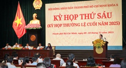 Đại biểu HĐND TPHCM chất vấn sự an toàn của thức ăn đường phố