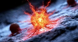 Các nhà nghiên cứu Mỹ tìm thấy “tử huyệt” của ung thư