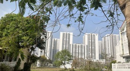 Người trẻ vẫn quyết tâm mua nhà dù giá cao kỷ lục