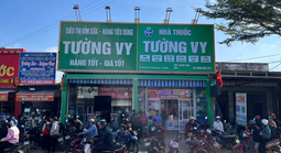 Dược sĩ Đỗ Thị Tường Vy: "Hạt mầm sức khỏe" giữa đại ngàn Tây Nguyên