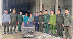 Liên tiếp phát hiện con vật quí, “khủng” bò lạc vào nhà dân