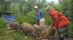 Chuyển từ "trông chờ hỗ trợ" sang tự lực vươn lên