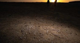 170 điểm chứa xương "nàng tiên cá" lộ ra giữa sa mạc Trung Đông