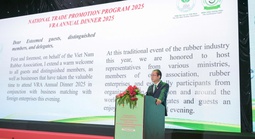 Ngành cao su xuất khẩu đạt 11,6 tỉ USD, khai phá thị trường tín chỉ carbon