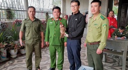 Hai "vị khách lạ" bất ngờ xuất hiện giữa khu dân cư ở Quảng Trị