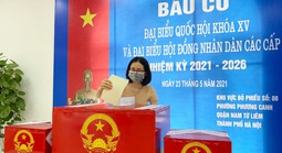 Chính phủ ban hành kế hoạch thực hiện công tác bầu cử đại biểu Quốc hội khóa XVI 