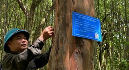 Gắn mã QR cho cây trội trong rừng đặc dụng