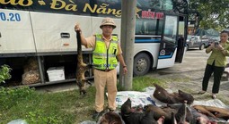 Phát hiện động vật nguy cấp, quý hiếm trên xe khách Bắc – Nam