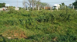 Đề xuất quy định chi tiết về chuyển đất vườn sang đất ở, người dân được giảm tiền sử dụng đất