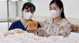 Lan toả tinh thần khởi nghiệp, đổi mới sáng tạo