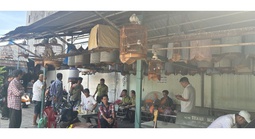 Nỗi lòng người nuôi chim cảnh