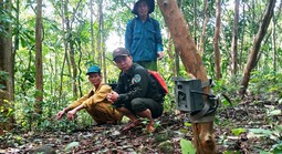 Bẫy ảnh giám sát đa dạng sinh học tại Mỹ Sơn