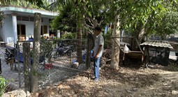 Khốn khổ vì thi hành án kiểu... cho có