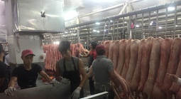 Giá heo hơi hôm nay, 21-12: Heo mảng tại chợ đầu mối lập đỉnh mới