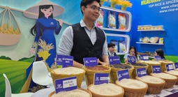 Xuất khẩu gạo dốc sức vượt khó