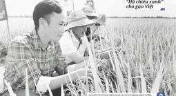 Báo in Người Lao Động 22-12: Thưởng Tết khả quan, an tâm làm việc