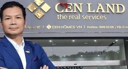 Vì sao cổ phiếu liên quan đến Shark Hưng bị bán tháo?