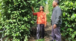 Xây dựng "kịch bản" thoát nghèo cho từng hộ dân