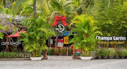 Champa Island: Rực rỡ giáng sinh, hân hoan đón năm mới