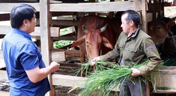 Thay đổi hành vi - Chìa khóa để giảm nghèo bền vững