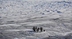 Mỹ lại "nghía" Greenland, Đan Mạch phản ứng gắt