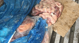 Triệt tiêu thực phẩm bẩn