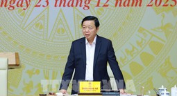 Phó Thủ tướng chỉ đạo xử lý nghiêm đường dây môi giới tàu cá ra nước ngoài khai thác trái phép