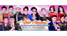Ca sĩ Thái Hoàng tổ chức live show “Gọi chồng về cho con”