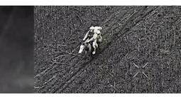 Điểm nóng xung đột ngày 24-12: Binh sĩ Nga dùng cách  "lạ", Ukraine tấn công đội tàu Nga