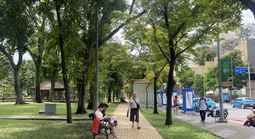 Trồng cây phân tán tại TP HCM đạt 1% kế hoạch đề ra