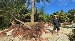 Bãi biển Mỹ Khê có nguy cơ bị "xóa sổ" do triều cường, sóng lớn bất thường