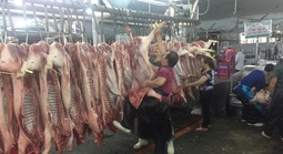 Giá heo hơi hôm nay, 24-12: Vượt mốc 70.000 đồng/kg