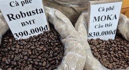 Giá cà phê hôm nay 24-12: Việt Nam là nguồn cung cà phê số 1 cho Tây Ban Nha