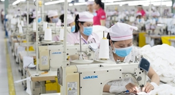 Công ty TNHH Panko Vina giải thể: Quyền lợi người lao động giải quyết ra sao?