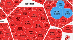 Chuyên gia lý giải VN-Index bất ngờ lao dốc gần 40 điểm chỉ trong 15 phút