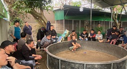 Bí mật bên trong sới bạc có sự tham gia của các chủ trang trại