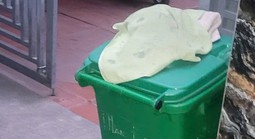 Phát hiện trẻ sơ sinh tử vong trong thùng rác trước cổng nhà