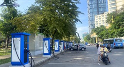 TPHCM trồng thêm 15.000 cây phân tán