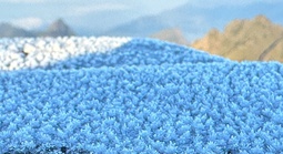 VIDEO: Du khách thích thú ngắm tuyết rơi phủ trắng đỉnh Fansipan