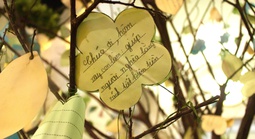 Giáng sinh ấm áp từ những lá thư "kể công"