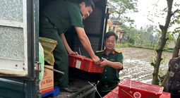 Hình ảnh bàn giao 676 con rắn hổ mang, nặng hơn 920kg ở Quảng Trị