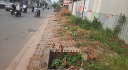 Hố sâu "bẫy" người trên vỉa hè