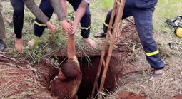 CLIP: Giải cứu người đàn ông rơi xuống hố sâu ở Đồng Nai