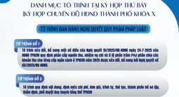 Danh mục 28 tờ trình dự kiến tại Kỳ họp thứ 7 HĐND TPHCM khóa X