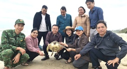 Dính "lưới ma", con vật quý mắc cạn