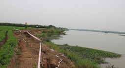 Một giám đốc công ty bị khởi tố 