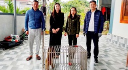 Chuyện hiếm gặp giữa khu dân cư ở Quảng Trị