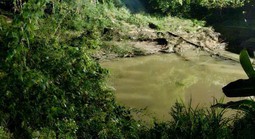 Bé gái 7 tuổi tử vong do đuối nước ở sông Dinh