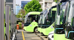 101 tuyến xe buýt tại TPHCM được đấu thầu, chuẩn bị vận hành 2026